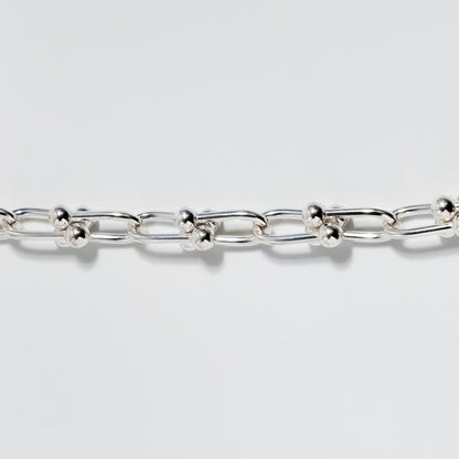 Large Horseshoe Link Bracelet